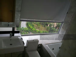 Angullia Park Residences @ Orchard (D10), Apartment #125411092